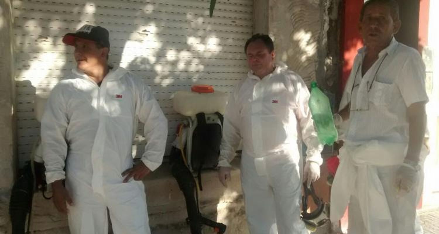 Dengue: Concejales piden al Ejecutivo que informe sobre acciones llevadas a cabo para controlar al mosquito