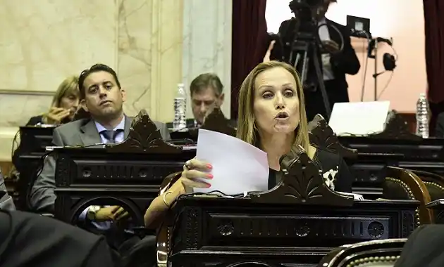 Mayda Cresto reclamó por una tarifa eléctrica diferenciada 