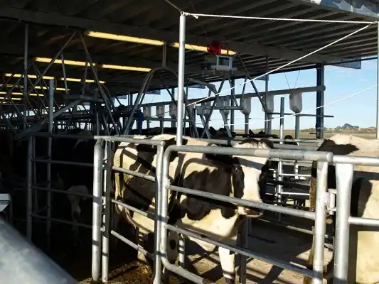 Una industria anunció una caída en el precio que paga por la leche 