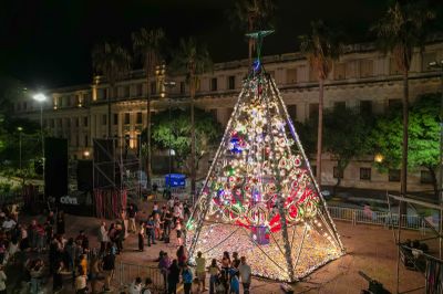 Se encendió el árbol de Navidad hecho 100% con residuos reciclables