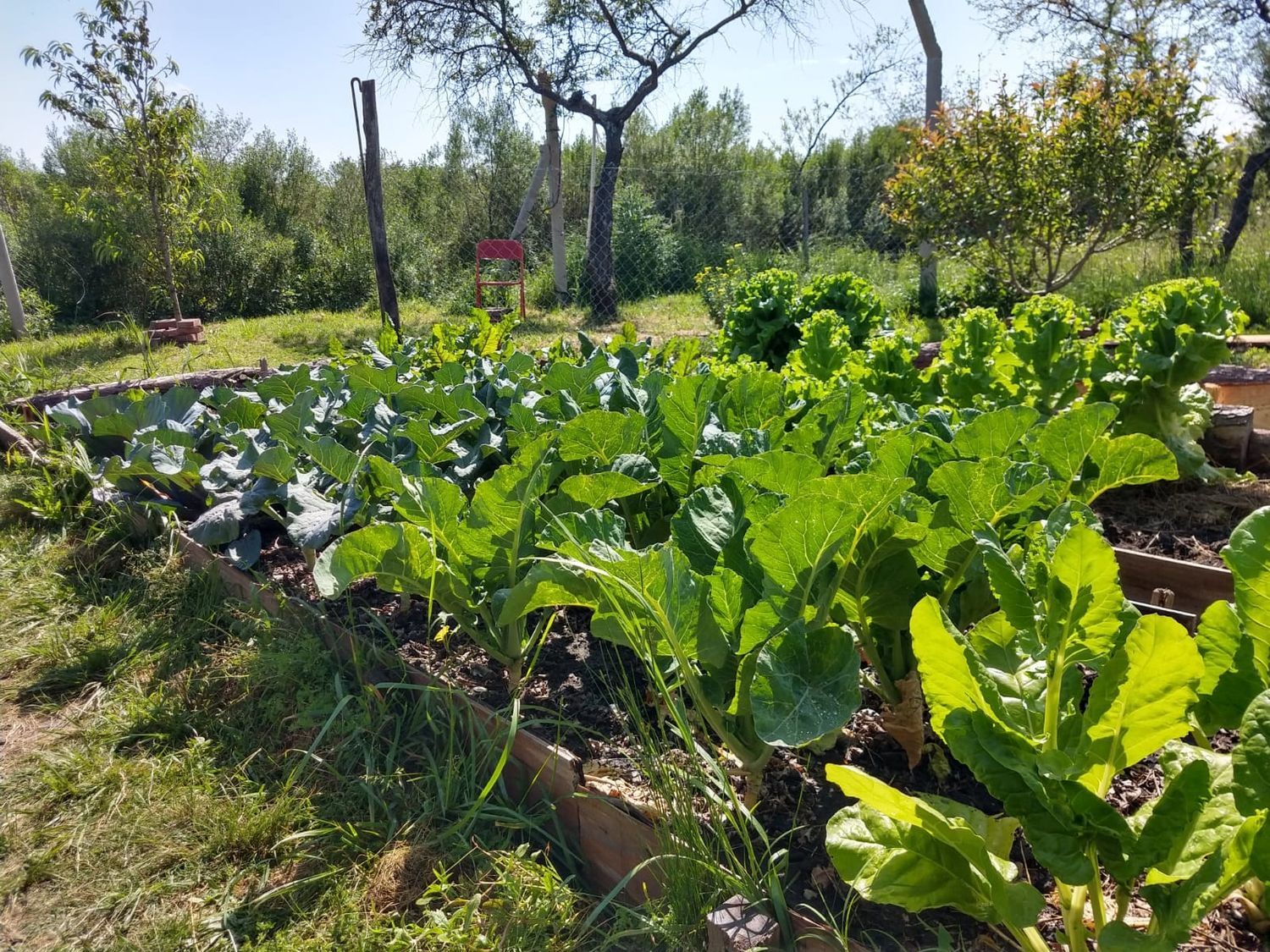 En articulación con el INTA, siguen las capacitaciones del ciclo de producción hortícola local