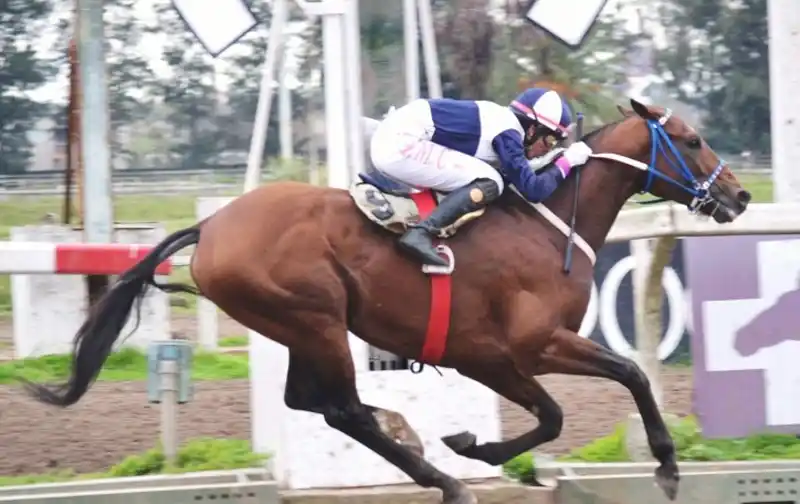 Jueves 5: Actividad Hipódromo de La Plata