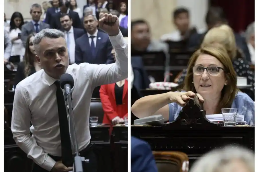 Fein y Paulón: "A los empujones es imposible debatir"