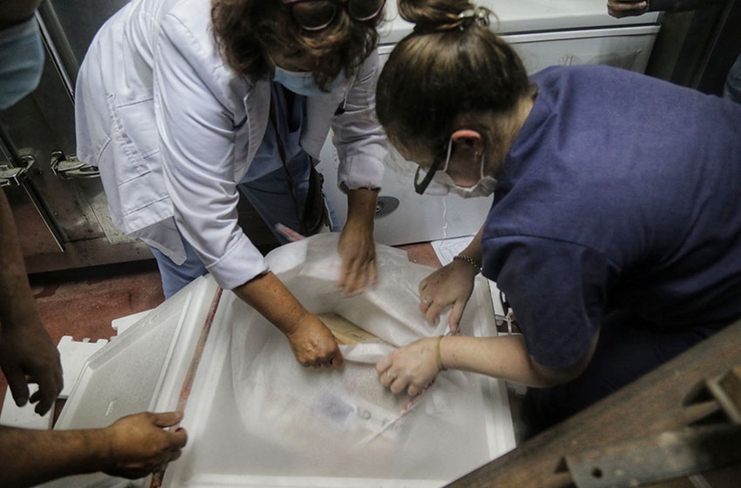Compran 10 millones de jeringas para garantizar la vacunación
