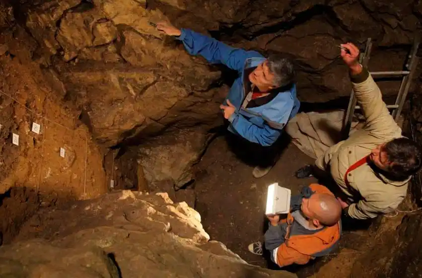 Hallaron restos de una persona nacida de especies humanas distintas