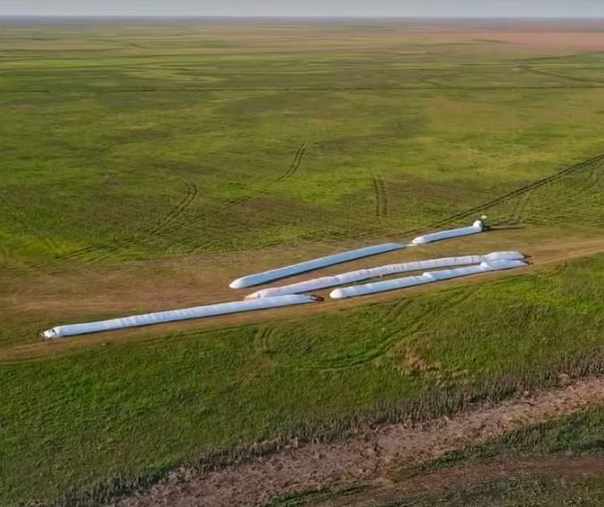 La Justicia Federal de Victoria liberó una cosecha ilegal de maíz producida en el Delta