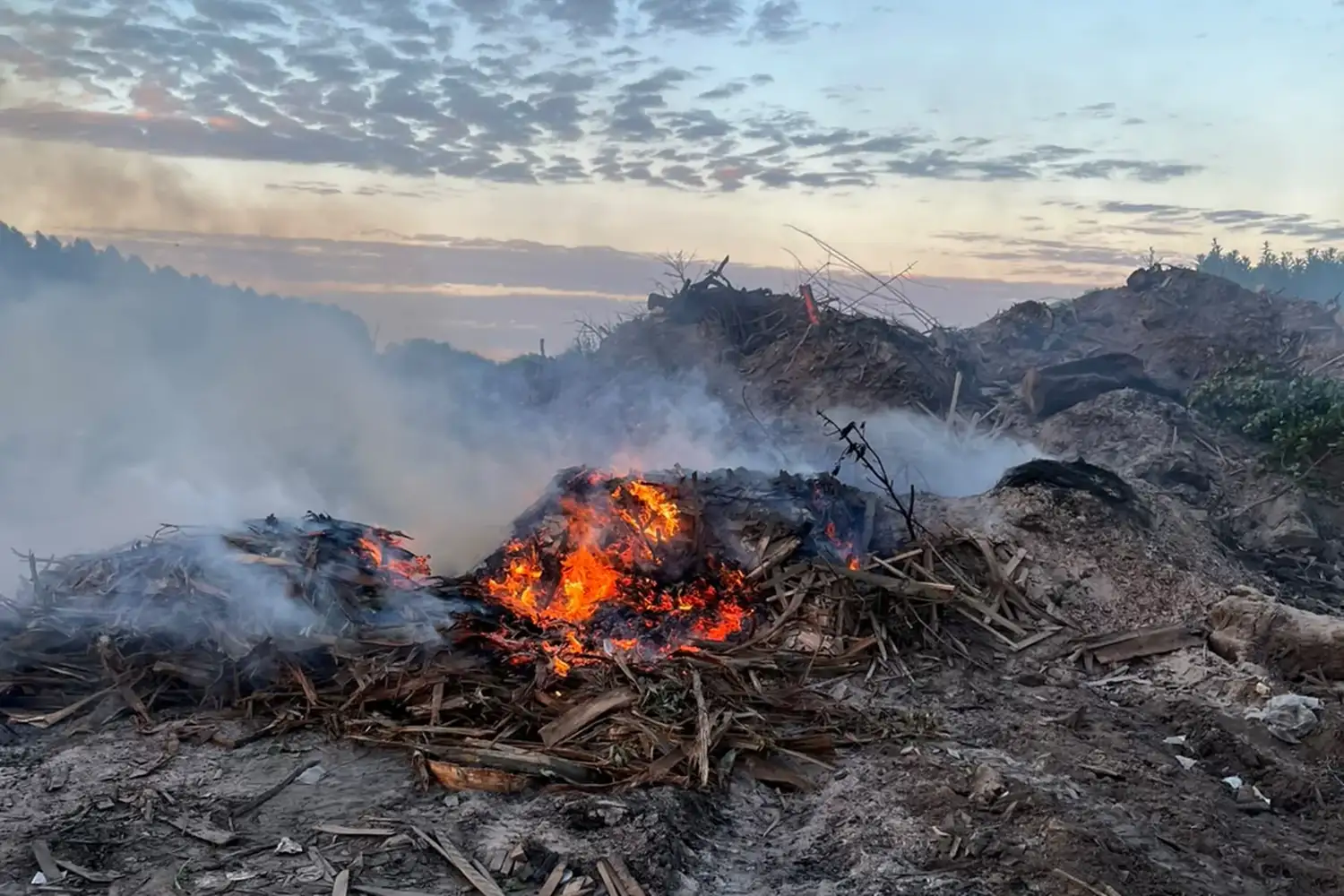 Intimaron al municipio de Pronunciamiento por quemas y acopio irregular de envases de fitosanitarios