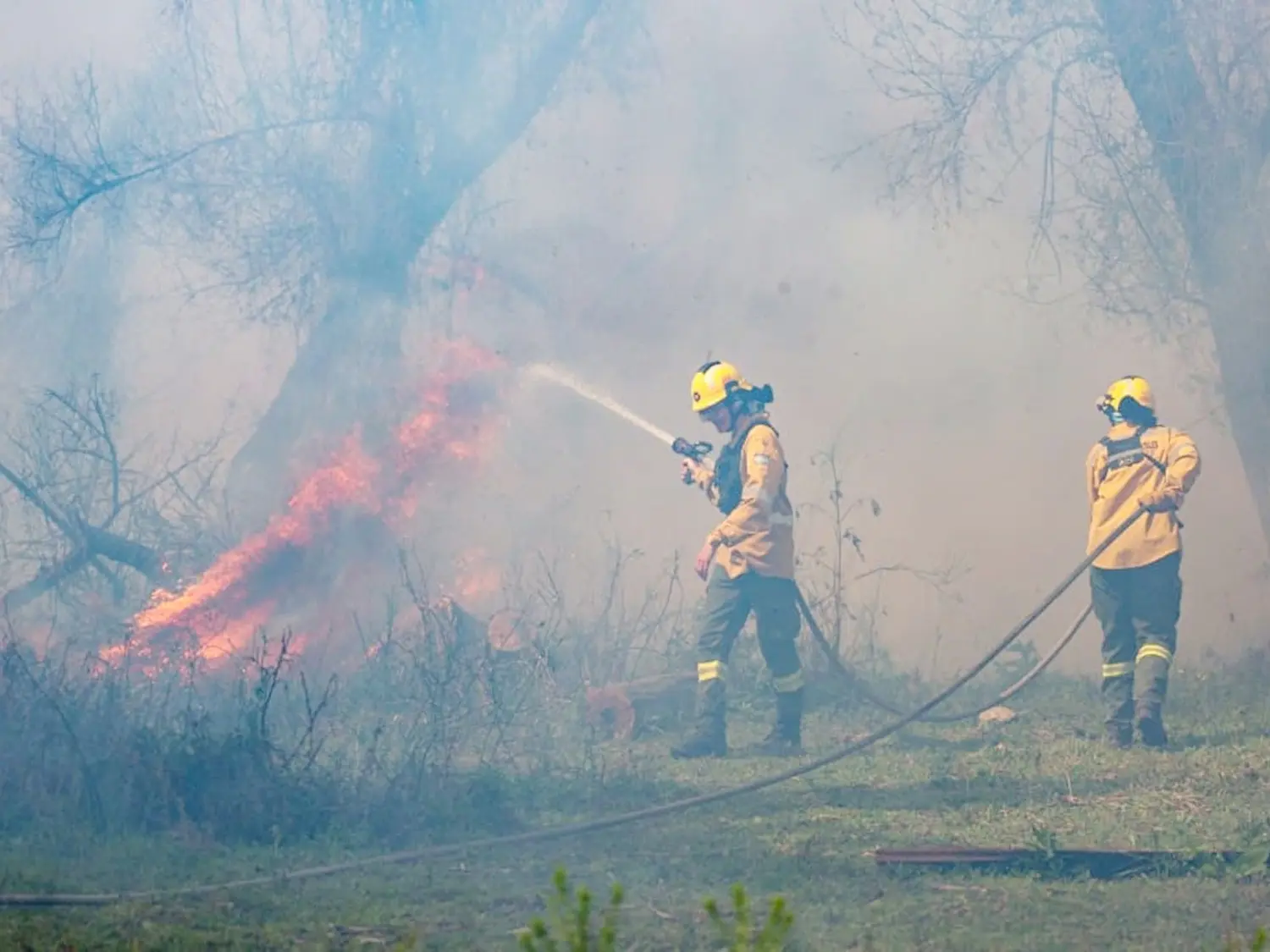 Entre Ríos envía a Chubut brigadistas del Plan Provincial del Manejo del Fuego
