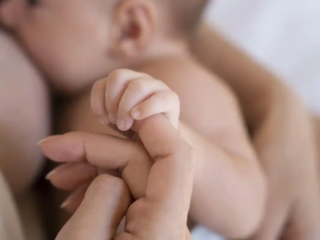 Brindarán un taller gratuito sobre acompañamiento integral en embarazo, puerperio y crianza