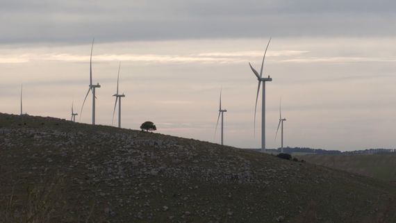 Se inauguró el Parque Eólico "La Elbita"