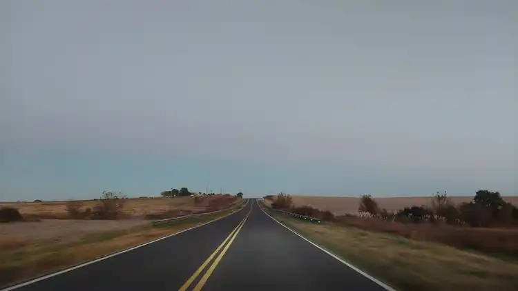 Alerta violeta por niebla: recomiendan evitar viajar y extremar los cuidados al conducir