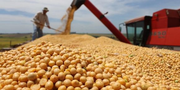 El valor exportado en el primer semestre alcanzó el segundo más alto en los registros