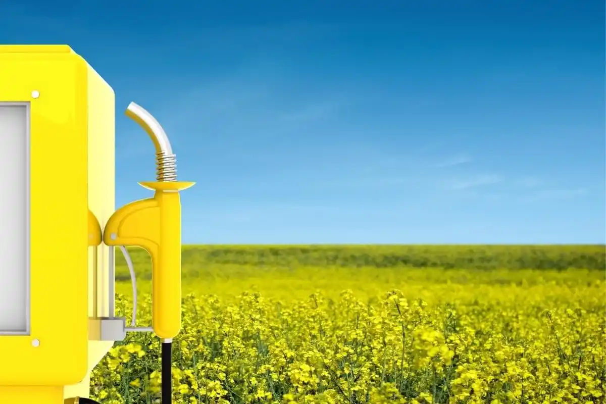 Biocombustibles, más allá del petróleo