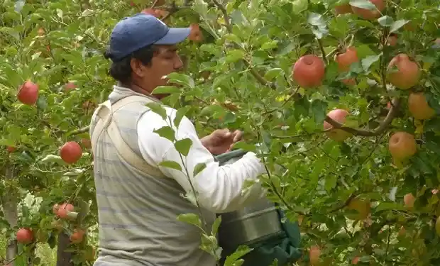 Productores denuncian que perciben menos de lo pagado en góndola