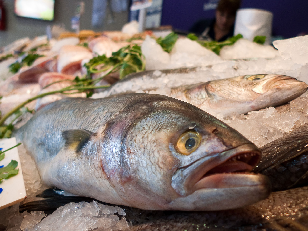 Cómo prevenir intoxicaciones alimentarias con pescados y mariscos