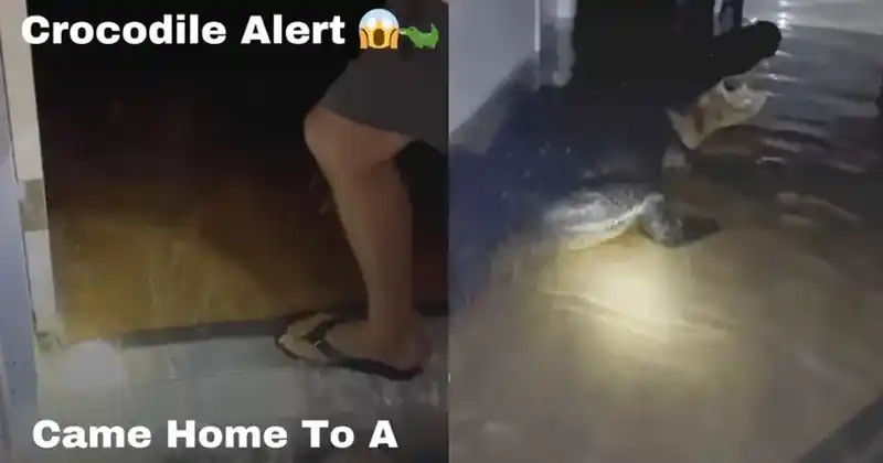 ¡Increíble hallazgo!