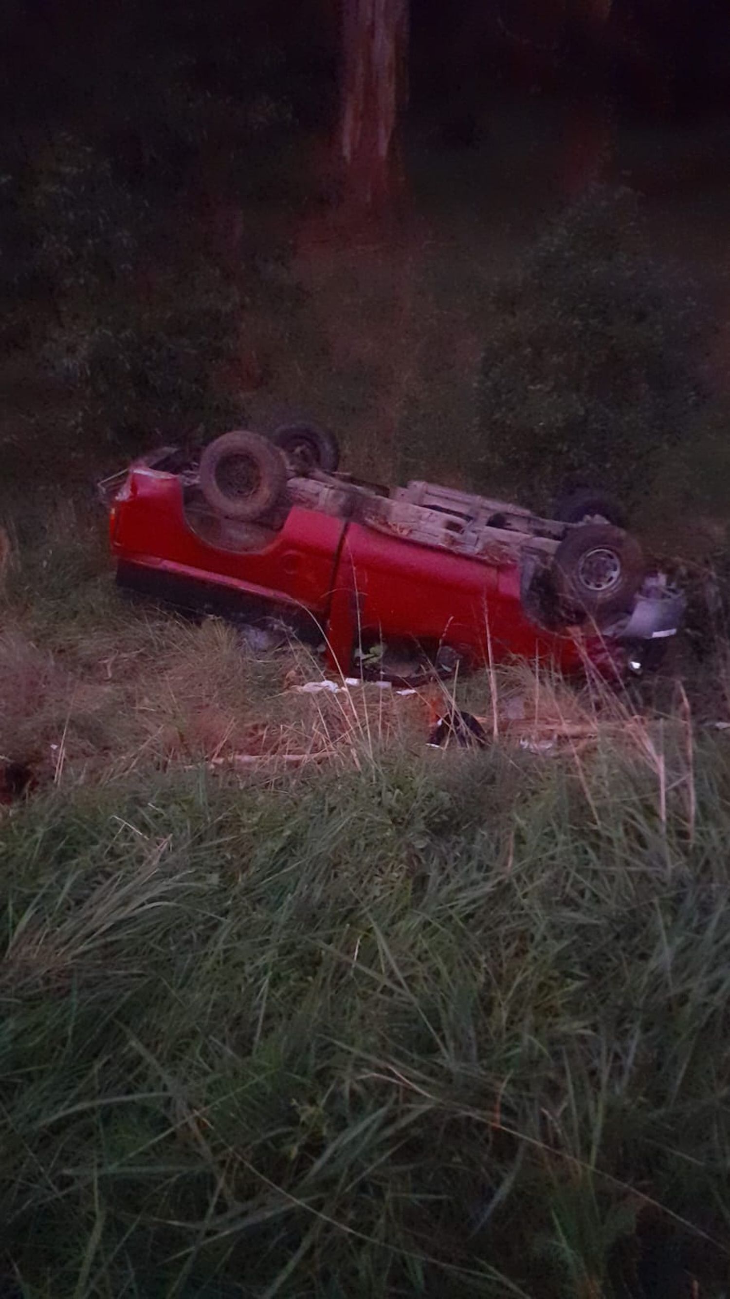 La camioneta que sufrió un desperfecto y terminó sobre la banquina.