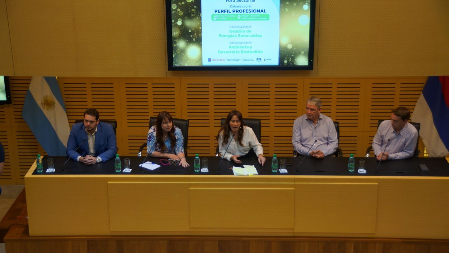 Foro sectorial sobre ambiente sostenible y energía renovable