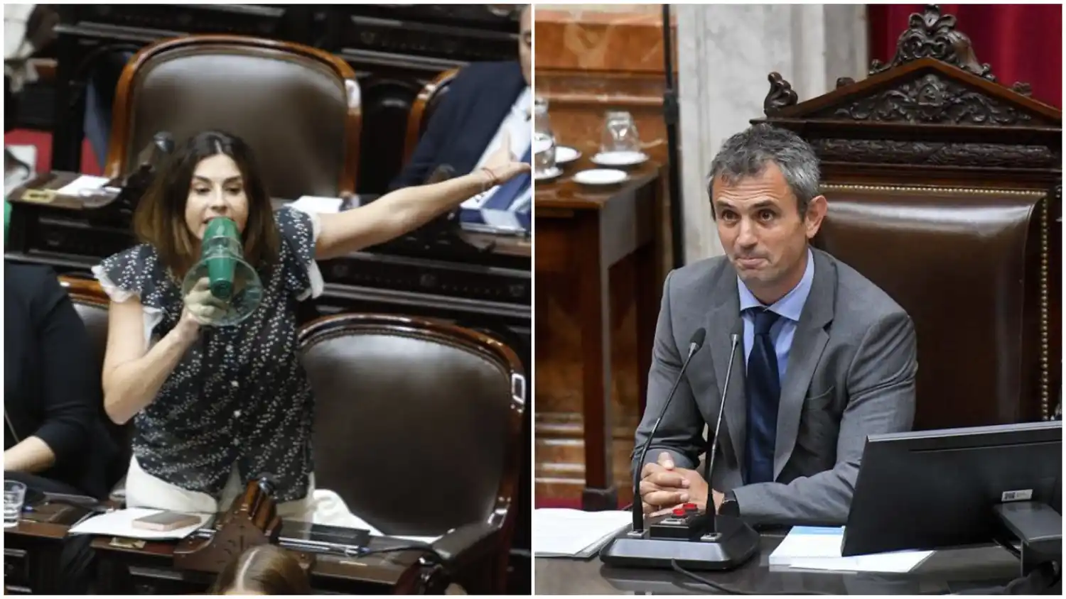 Pagano cruzó a Martín Menem por el pedido de expulsión de Carignano: "¿Por qué no echás a la psiquiátrica o al narco?"