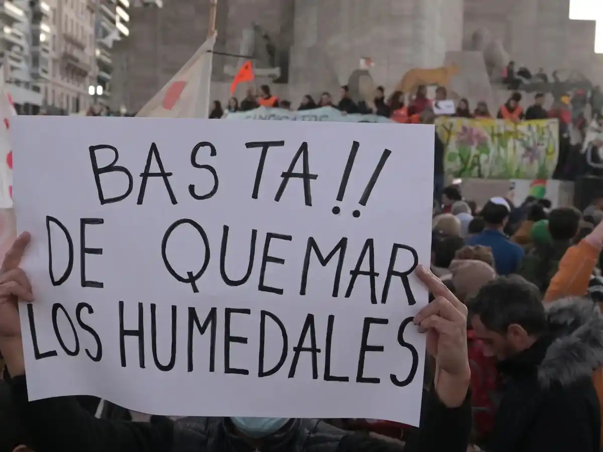 Rosario: convocan para este jueves a una marcha al Monumento para exigir la ley de humedales