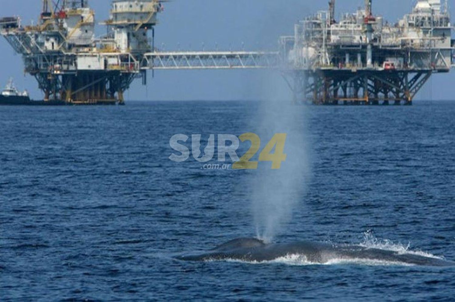 El gobierno argentino apelará en favor de la exploración petrolera en el mar