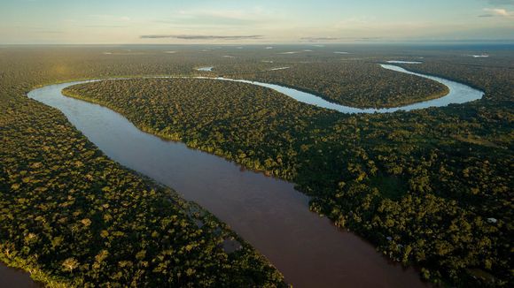 Hallan dos cuerpos en la Amazonía; ¿serán el periodista británico y su amigo indigenista brasileño desaparecidos?