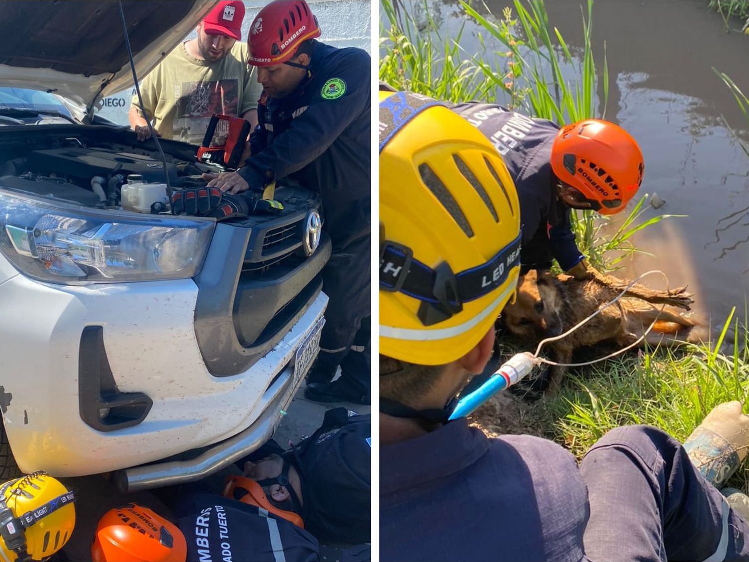 Fotos: Bomberos de Venado Tuerto.