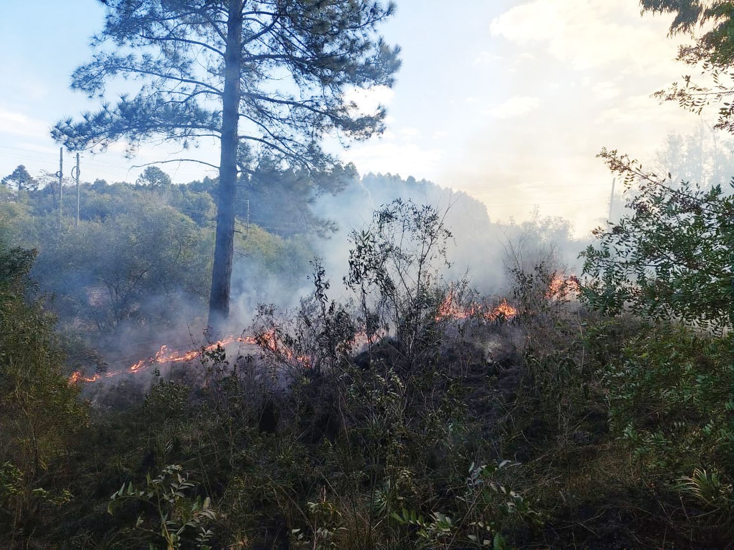 Incendio forestal en La Criolla