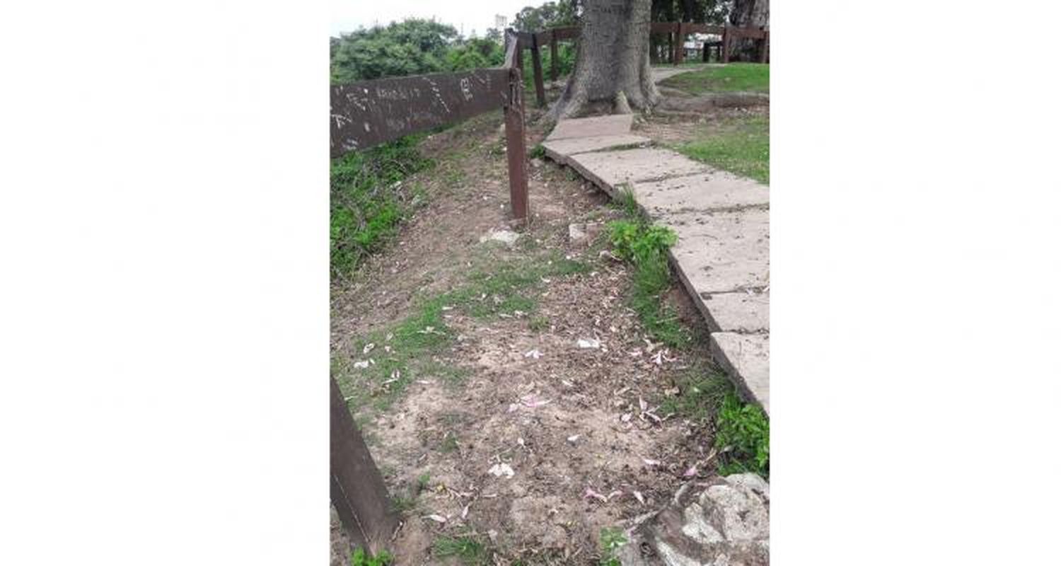 Falta mantenimiento