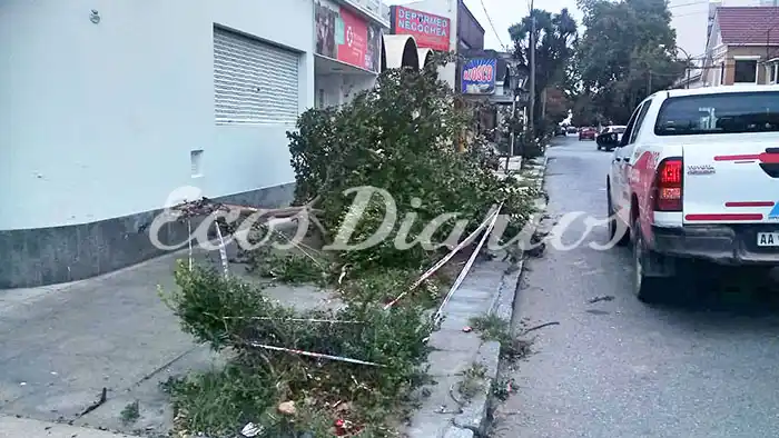 Vehículo causó destrozos en pleno centro de la ciudad