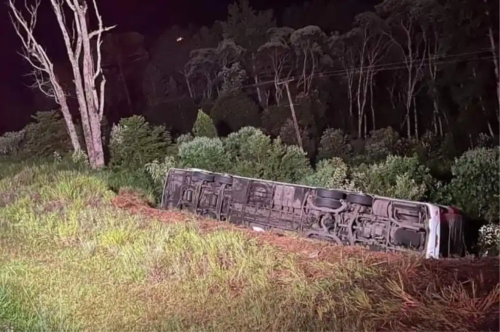 Brasil: una argentina y su hijo de 3 años murieron al desbarrancar un micro