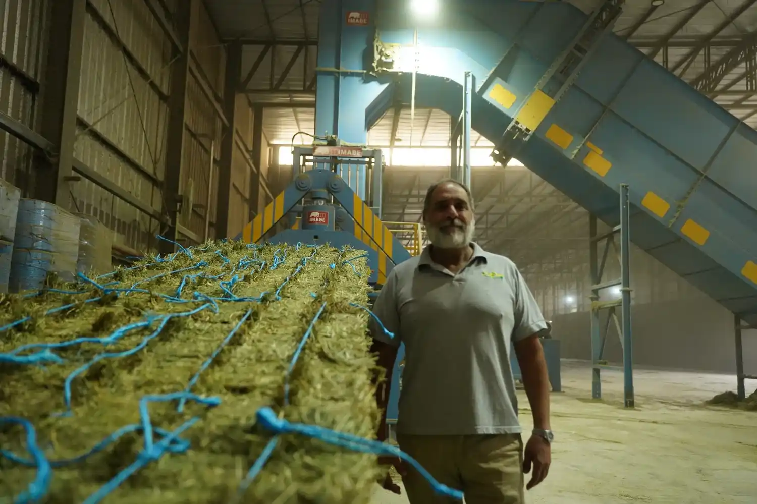 Alfredo Abboud alfalfa