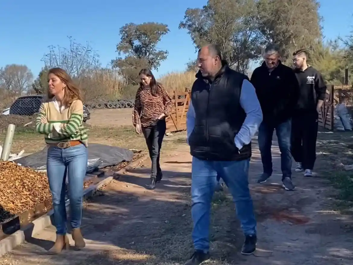 maggiolo residuos - 2