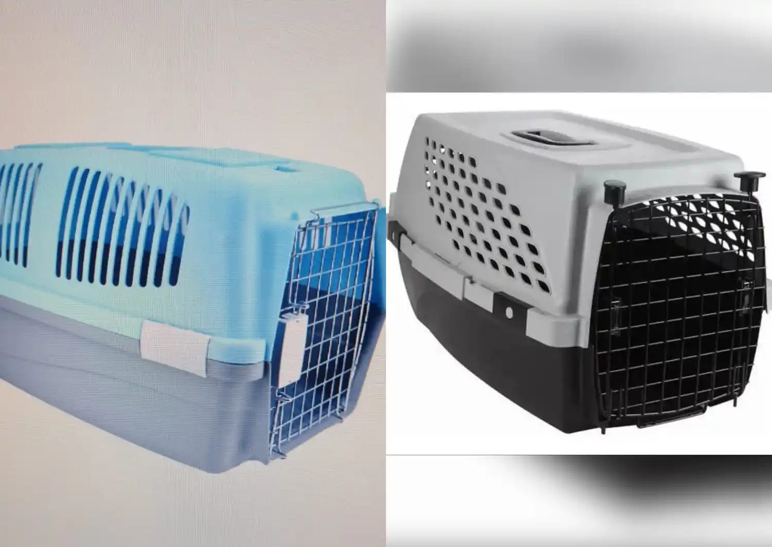 transportadoras robadas