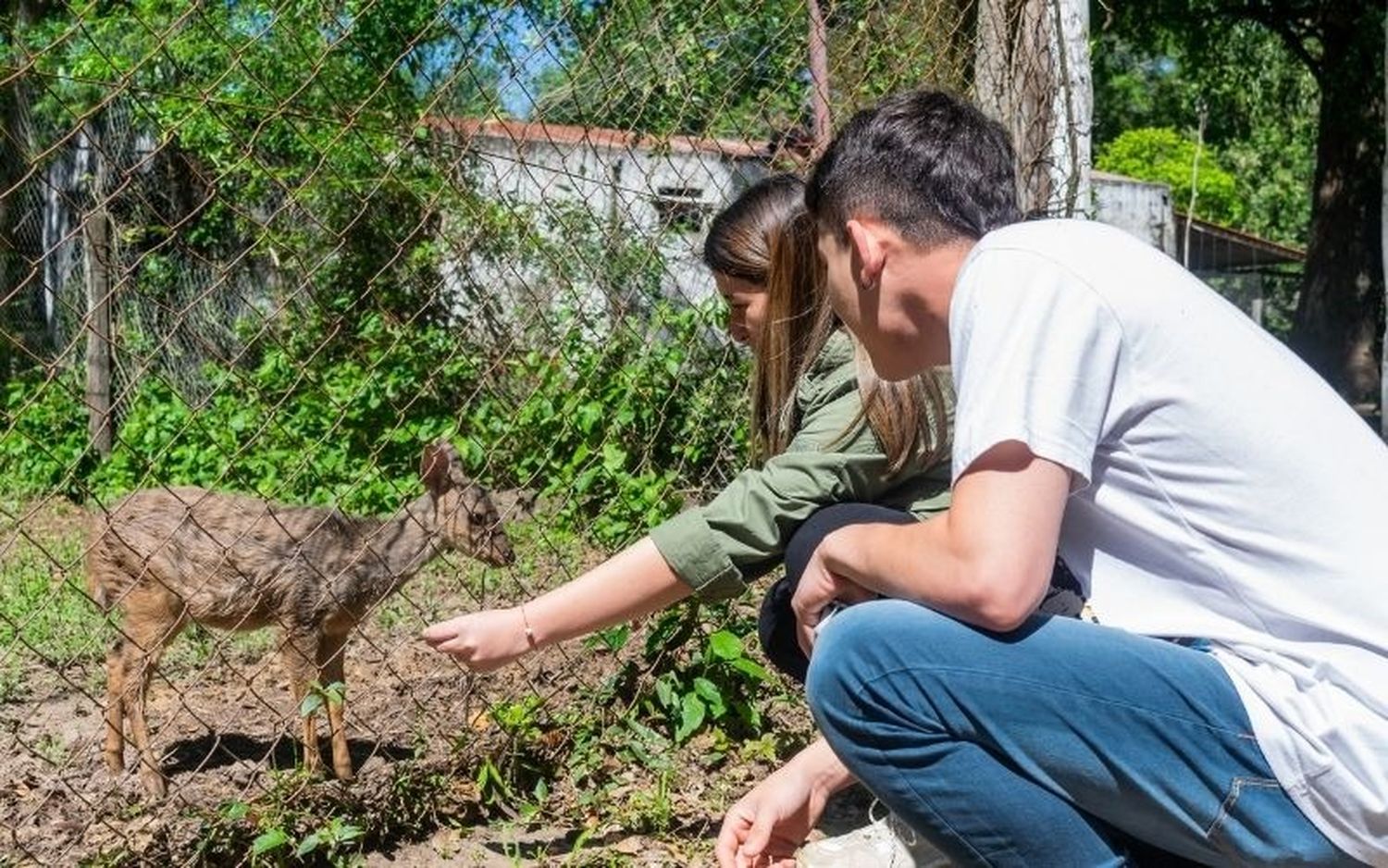 Reabrió la Reserva Guaycolec para la temporada invernal