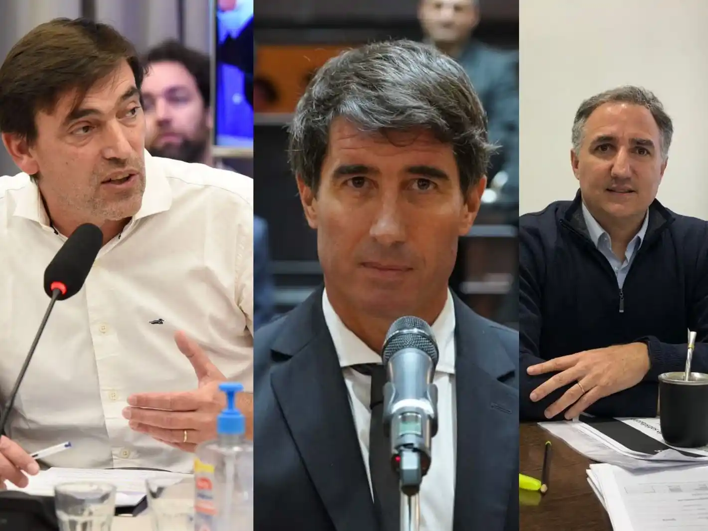 Políticos locales brindaron su mirada sobre la propuesta de Milei para intervenir la Provincia