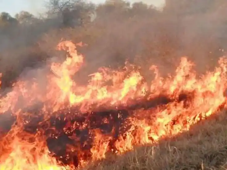 Refuerzan el llamado a la prevención de incendios durante el verano