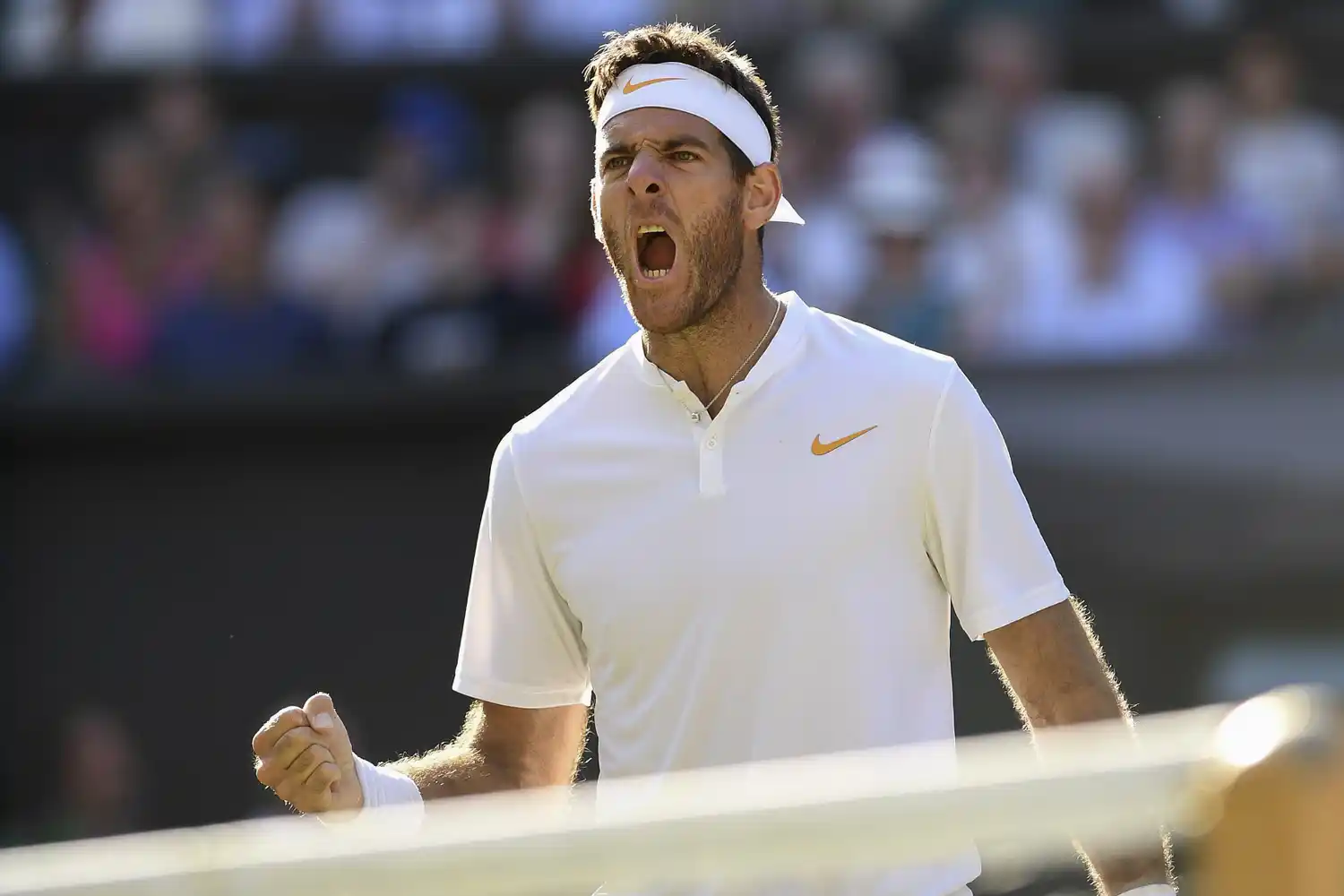 Del Potro pasó a tercera ronda del US Open 