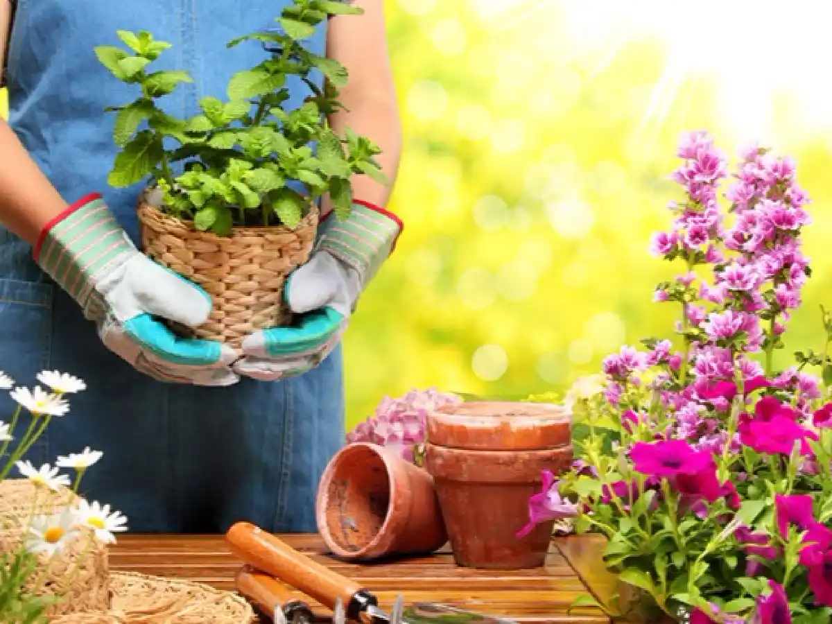 Es momento de armar el jardín