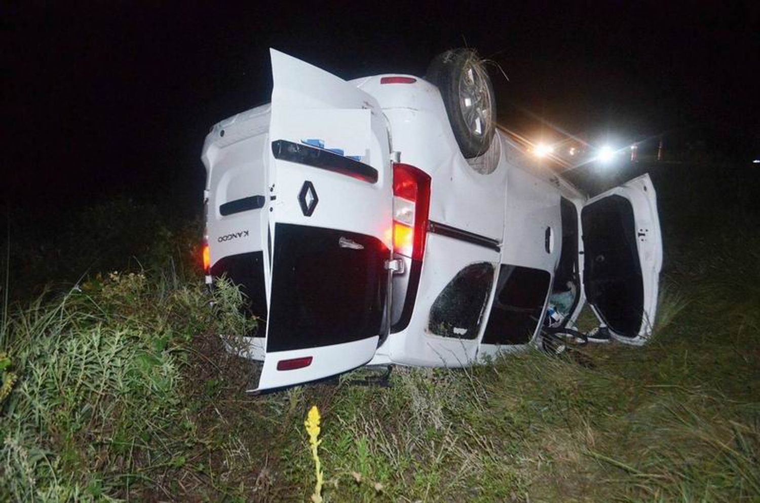 Utilitario con 6 ocupantes chocó un
búfalo y volcó; todos resultaron ilesos