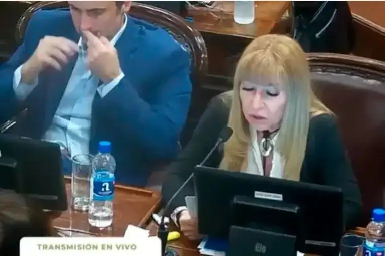 Diputado entrerriano negó haber consumido drogas durante una sesión, tras la difusión de un video