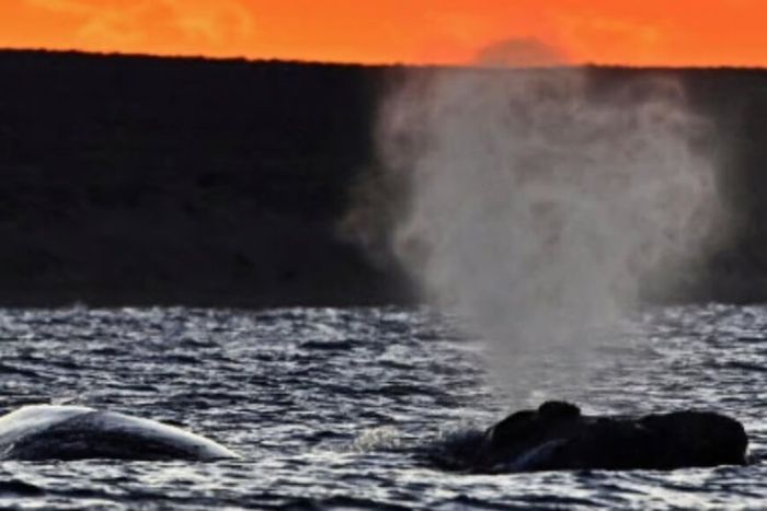 En Trelew se ofrecerá una muestra fotográfica. Créditos: Maxi Jonas