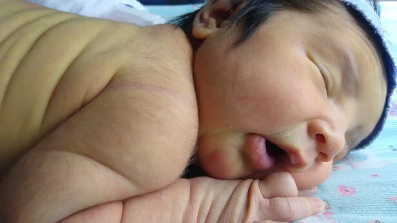 ¡Nació Lia Palavecino!