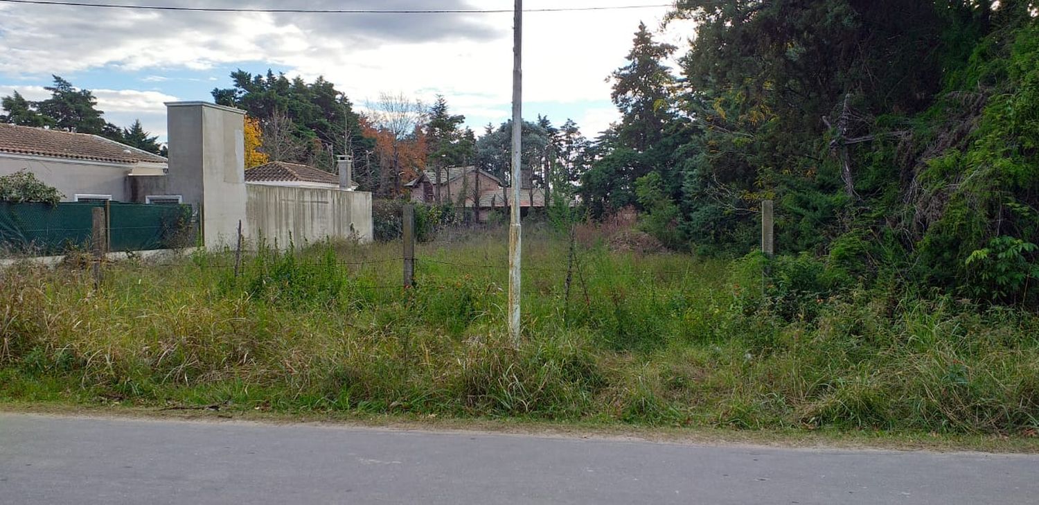 Reclamo por terreno baldío sin limpieza