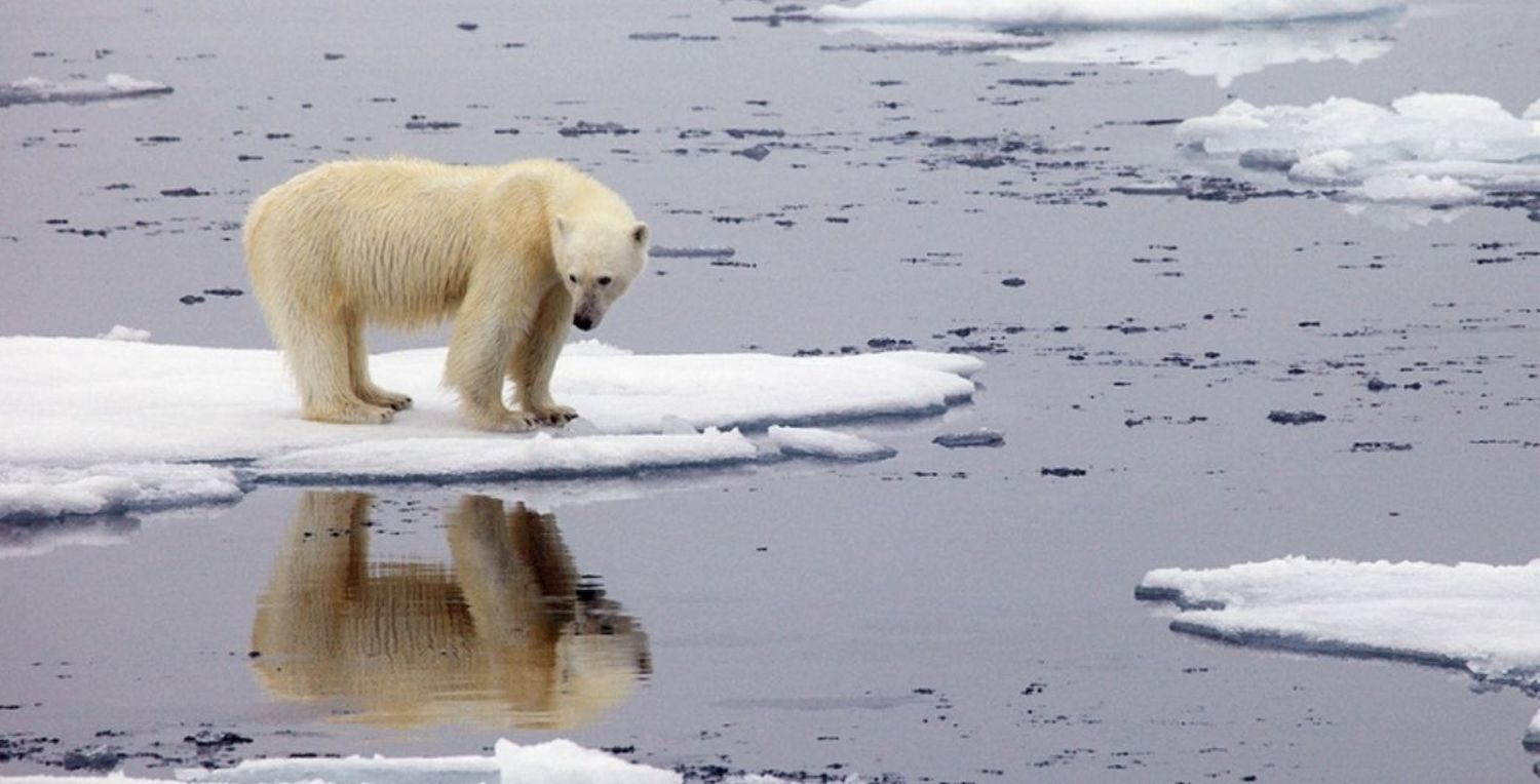 Cambio climático: el récord de calor en el Ártico “enciende las alarmas”