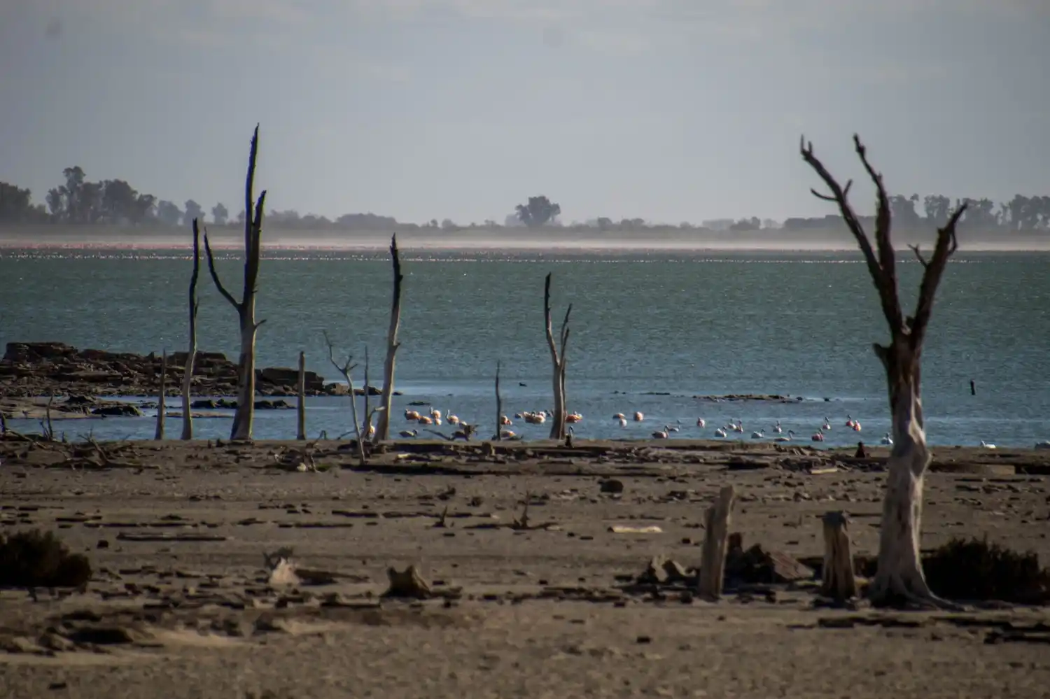 El mar cordobés y una postal recurrente en agosto: en el fondo, una nube de sal que se levanta por el viento. (Foto: Roberto Listello)
