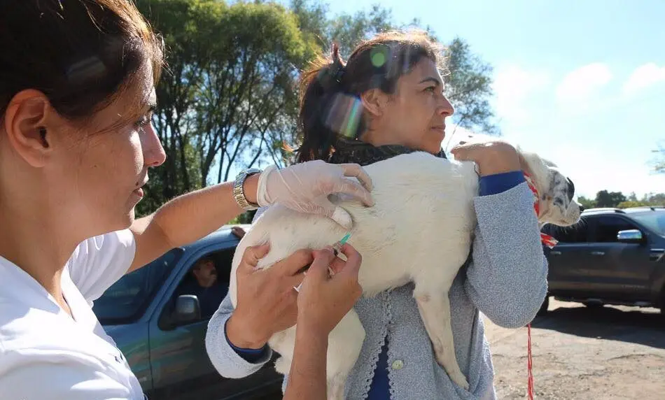 Campaña de vacunación para mascotas en el barrio Los Aromos