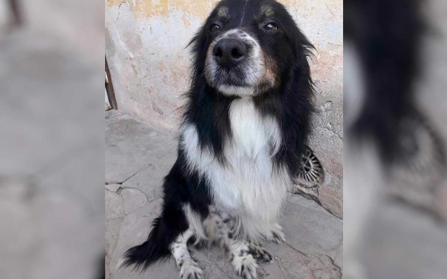 Lo buscan: es epiléptico y debe tomar su medicación