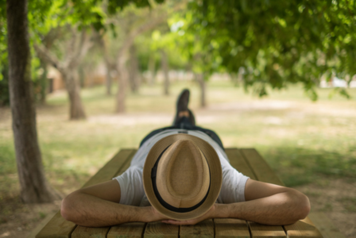 siesta