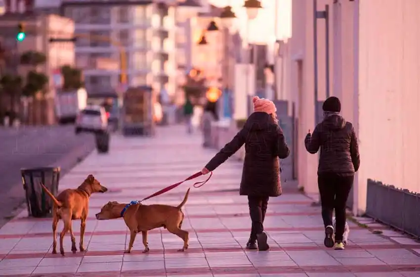 Todavía es invierno: mínima bajo cero en Mar del Plata